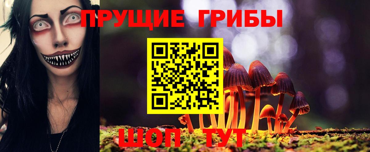 как найти   Псилоцибиновые грибы прущие грибы  Вход с VPN  Псилоцибиновые грибы прущие грибы  Нальчик 
