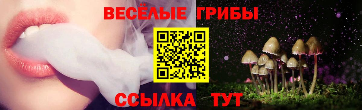 Галлюциногенные грибы мицелий Нальчик
